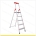 Bahman Ladder