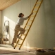 good-ladder