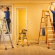 نردبان کارهای تعمیراتی
