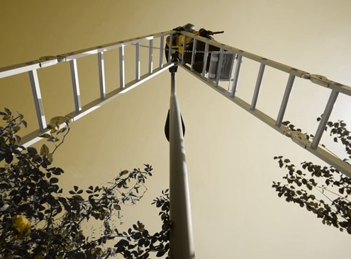 ایمنی نردبان