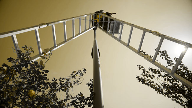 ایمنی نردبان